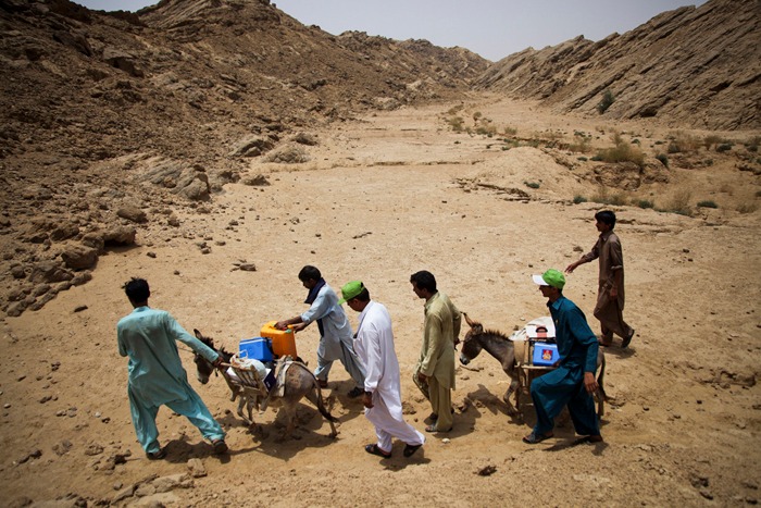 PolioWorker charring polio vaccine on donkeys, in Pakistan. 